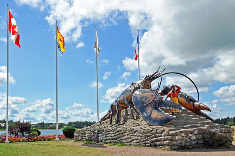 shediaclobster Expérience Canadienne